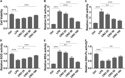 Crocetin Attenuates Sepsis-Induced Cardiac Dysfunction via Regulation of Inflammatory Response and Mitochondrial Function